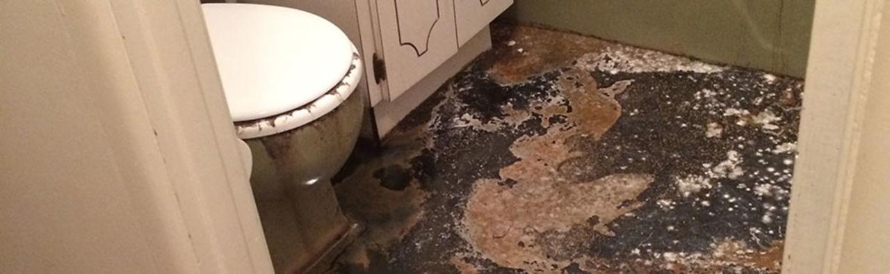 Category 3 LLC Offers Professional Mold Clean up Service in Suffolk