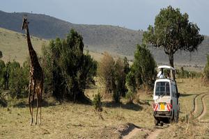 African Memorable Safaris Offering Reliable Africa Safari Vacation Pac