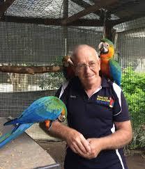 Multi Parrots Species Avian Center Pet Birds On Sale	