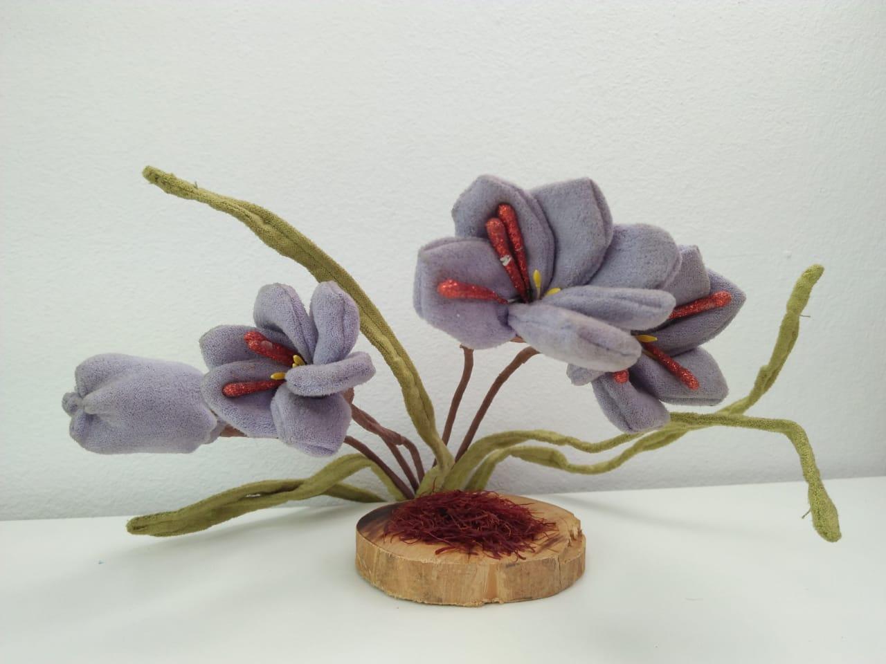 Crocus flowers produce saffron