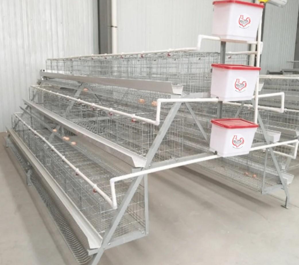 240 Bird Egg Laying Cage For Sale