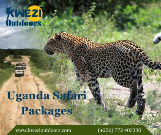Uganda Safari Packages with Kwezi Outdoors