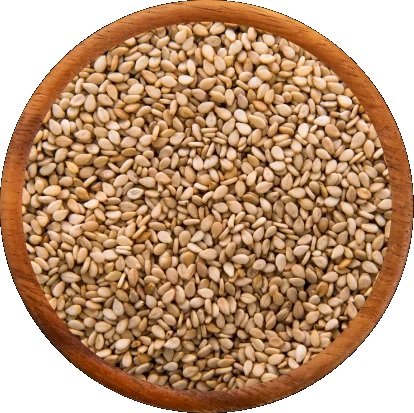  Sesame Seeds Exporters in India - Vora Spice Mills LLP
